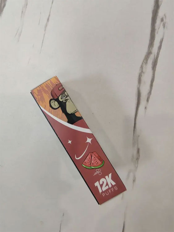 Vaping Guidelines: Can I Bring My Electronic Cigarette on a Plane?