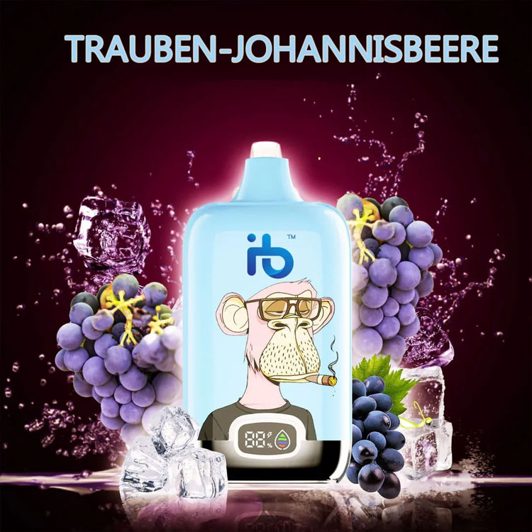 Traveling with E-Cigarettes in India: Know Before You Fly