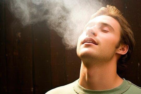 How Einweg E-Zigaretten Makers Adapt to vietnam e-cigarette ban 2025 Market Shifts and Consumer Trends