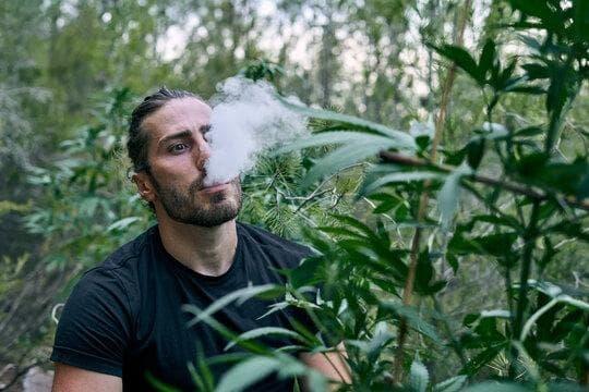 IBVAPE vs volcano electronic cigarettes - Which IBVAPE Models Deliver Best Vapor Quality and Value